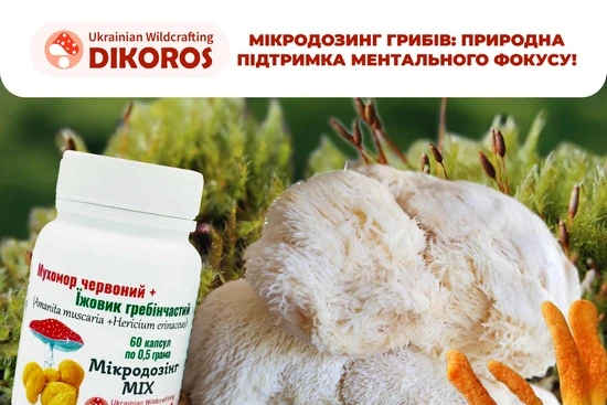 Які гриби мікродози обрати? Гід по продукції для тих, хто вперше знайомиться з мікродозингом