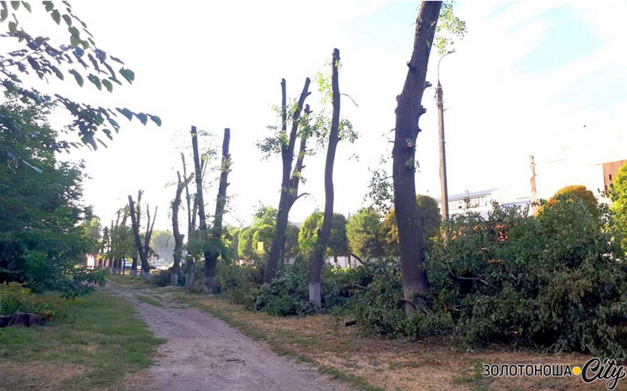 Фото: із архіву "Златокраю", 2020 рік