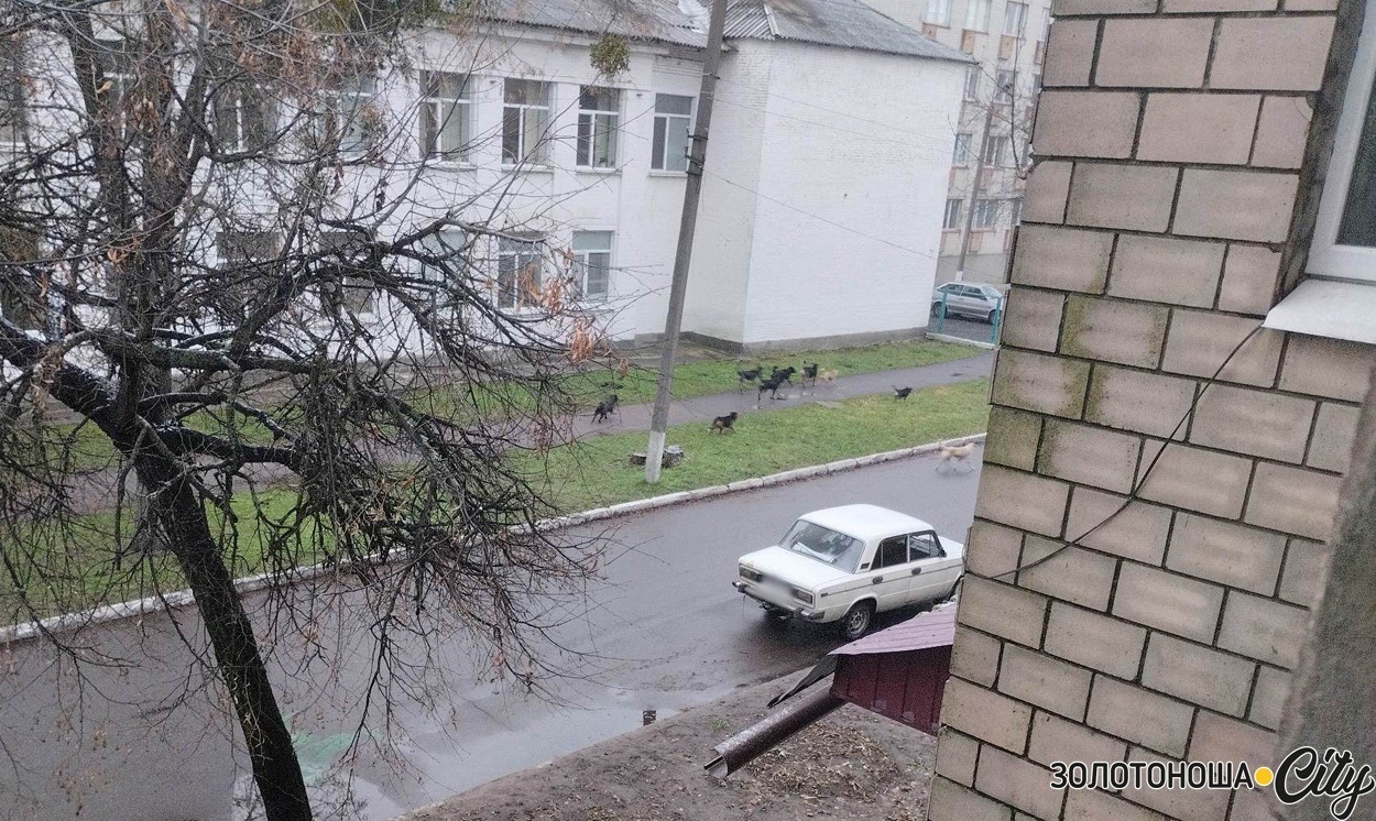 29.11.22