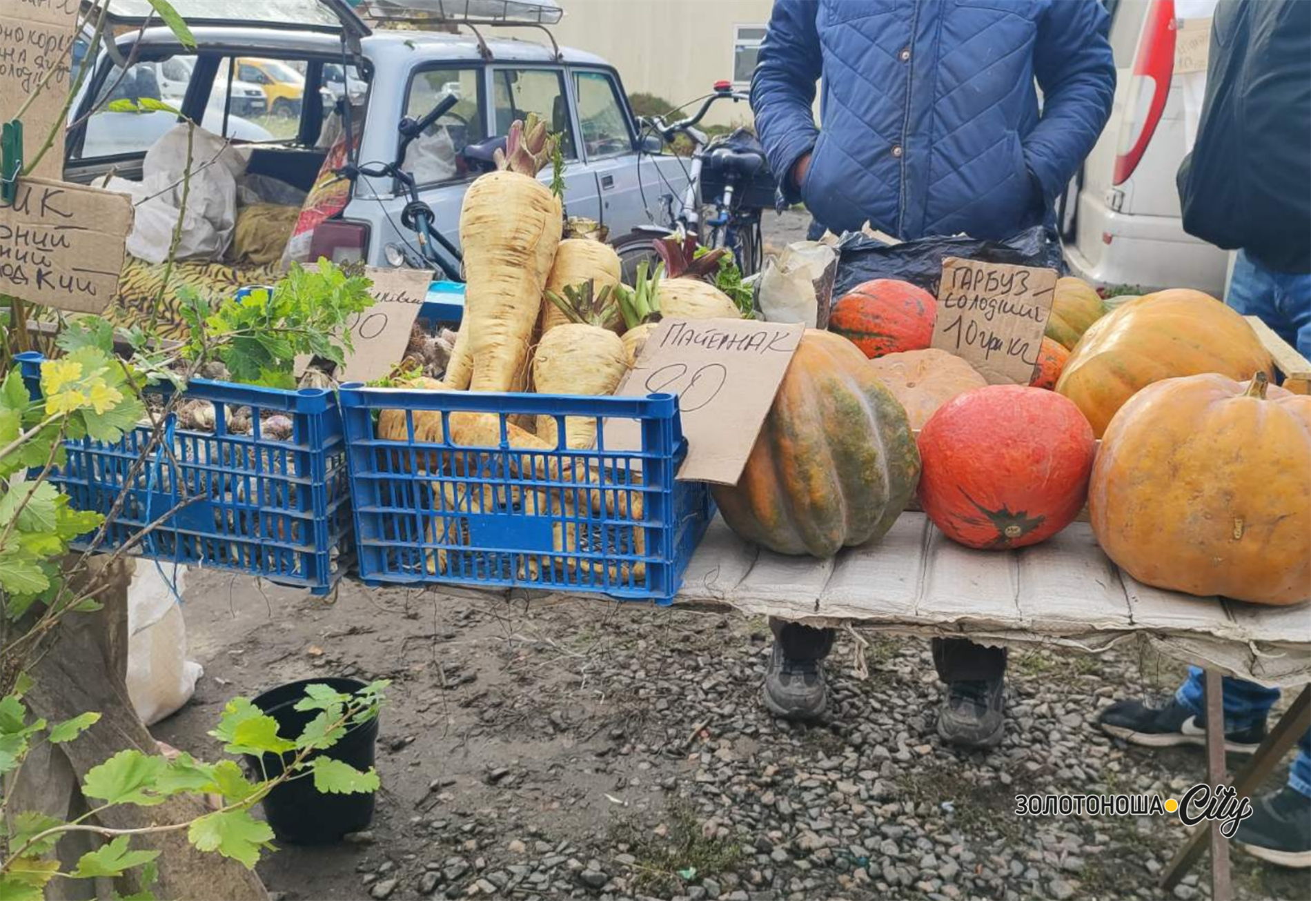 Недільний базар у Золотоноші пахне землею, гарбузами, хризантемами і … добротою