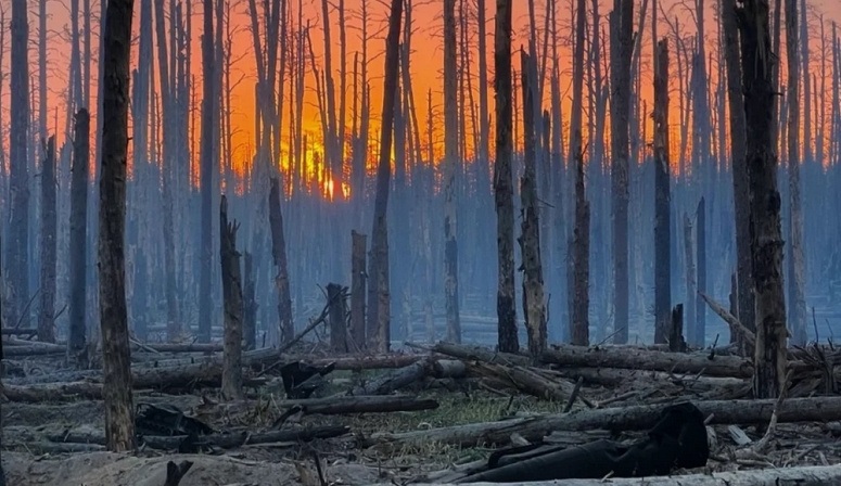 Фото ілюстративне