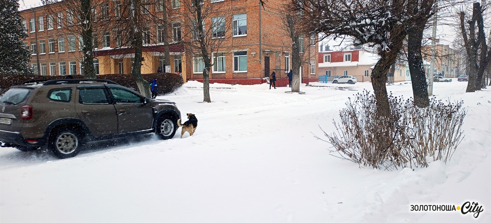 Засніжена Золотоноша - лютнева тиша і спокій