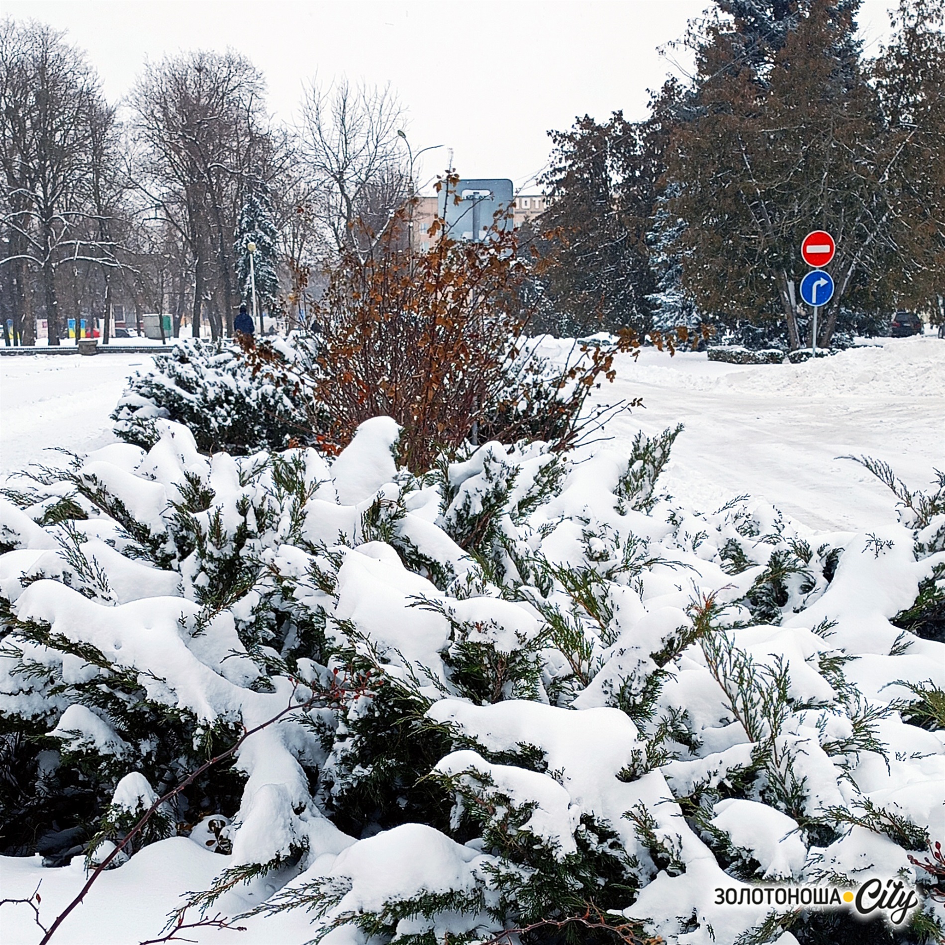 Засніжена Золотоноша - лютнева тиша і спокій