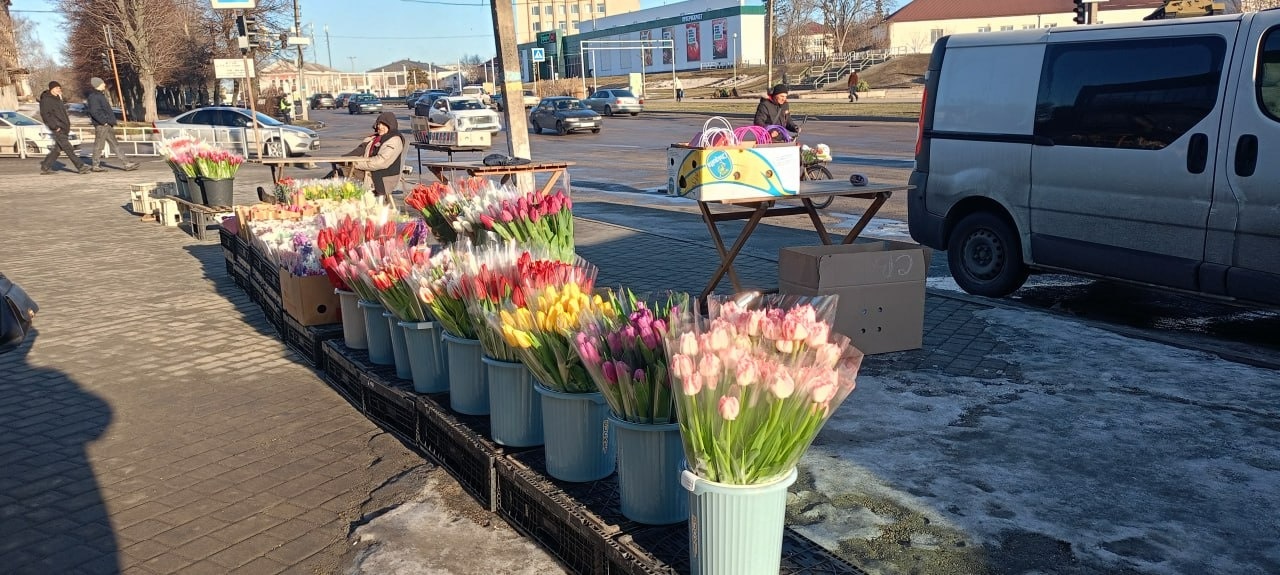 У Золотоноші запрацював квітковий базар просто неба
