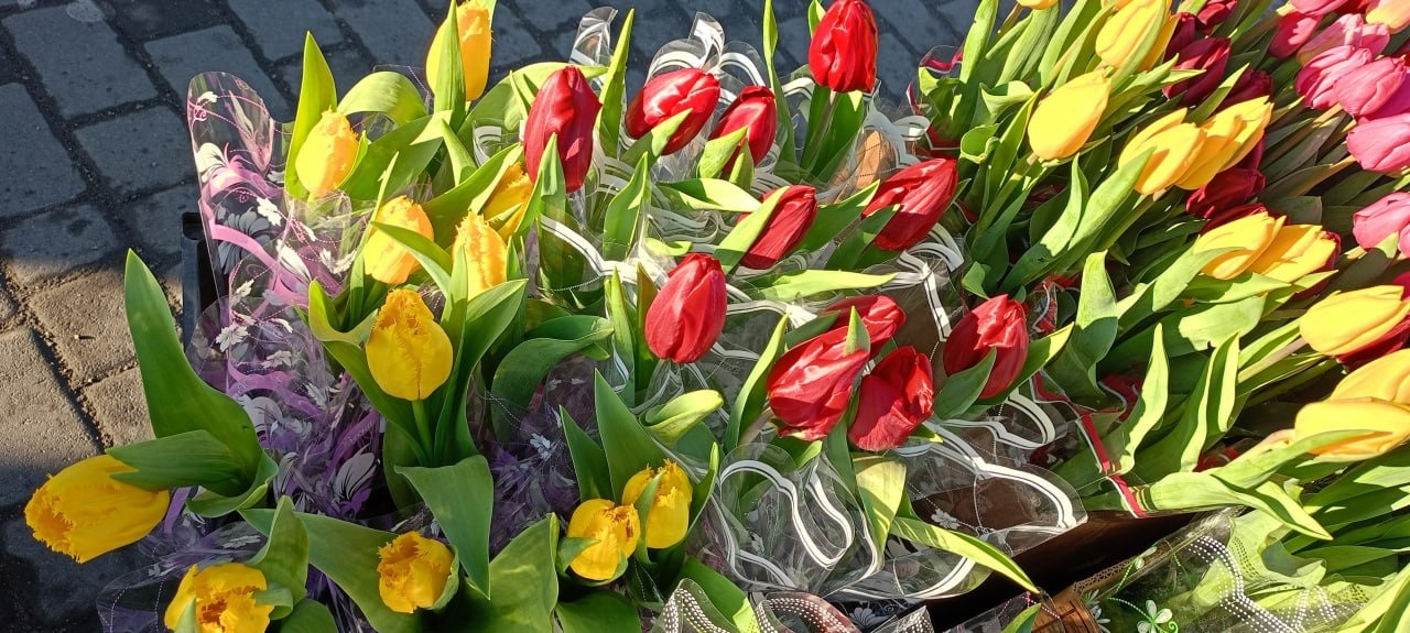 У Золотоноші запрацював квітковий базар просто неба