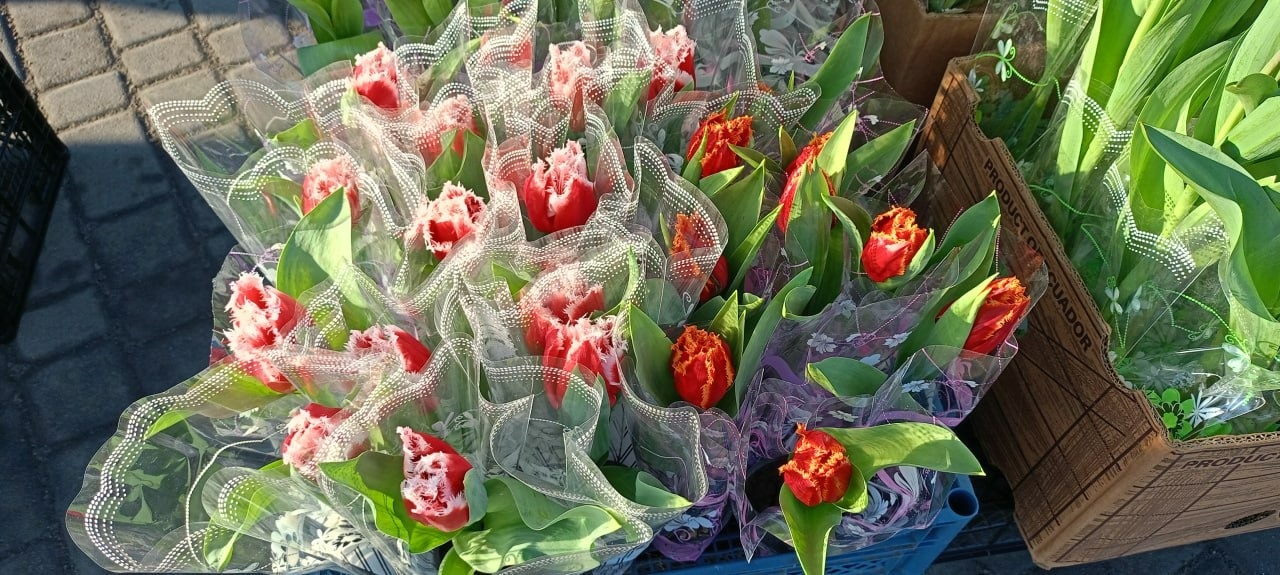 У Золотоноші запрацював квітковий базар просто неба