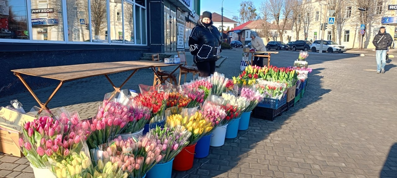 У Золотоноші запрацював квітковий базар просто неба