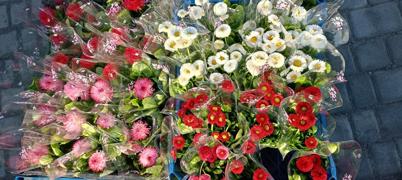 У Золотоноші запрацював квітковий базар просто неба