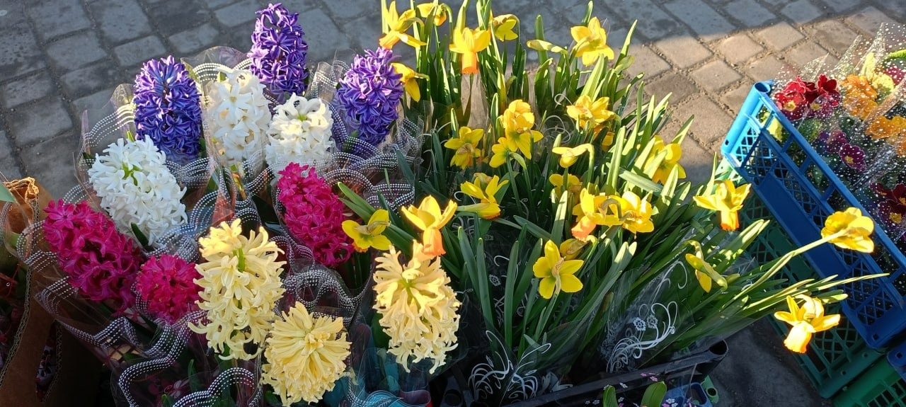 У Золотоноші запрацював квітковий базар просто неба