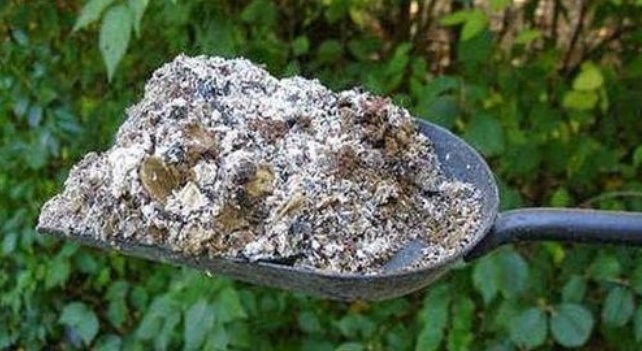 Що підсипати під смородину навесні, щоб ягоди були великі й солодкі: поради для щедрого врожаю