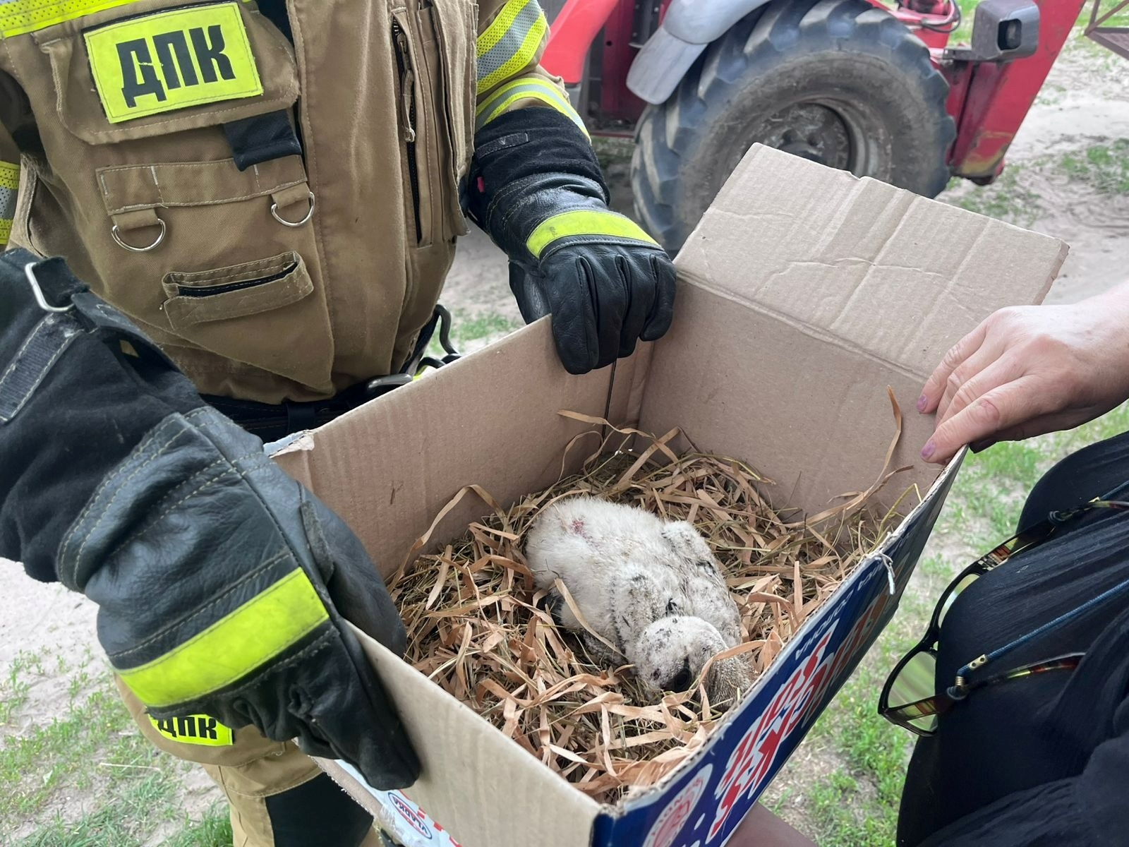 У Благодатному провели незвичну рятувальну операцію заради маленького лелеки