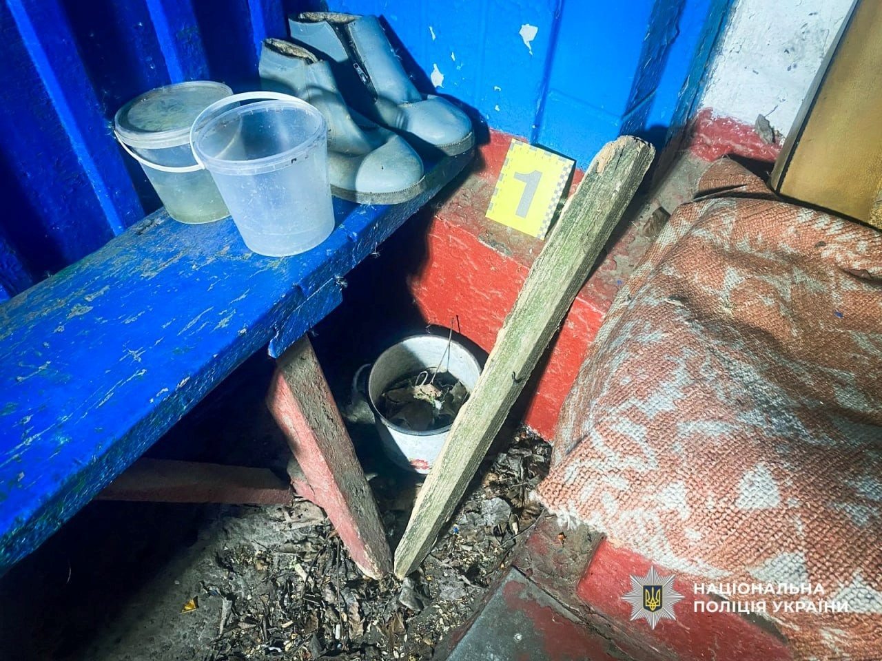 Жорстокий напад серед білого дня: на Золотоніщині пограбували 86-річну жінку