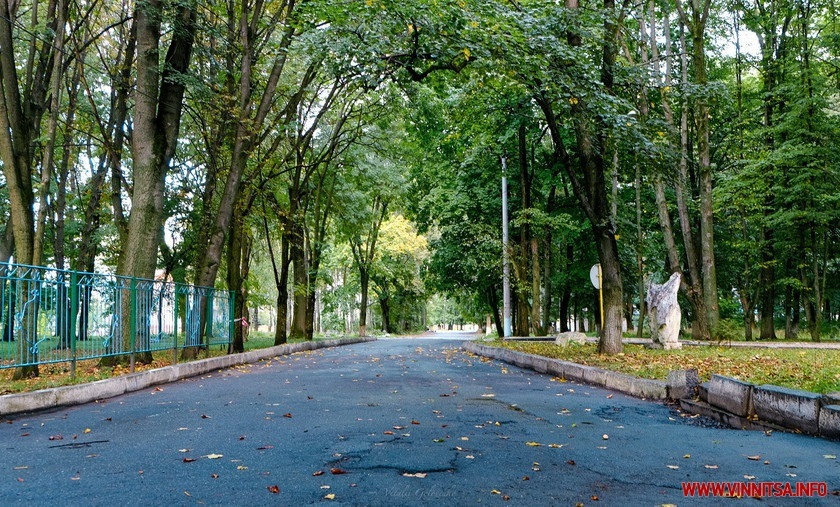 Як змінити місто чи село власноруч: гід для золотонісців, які хочуть зробити кращою свою громаду