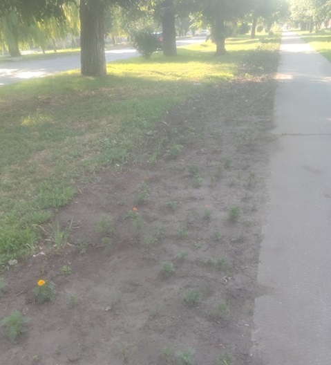 Що за розкопки тривають на вулиці Степана Бандери?– читайте більше